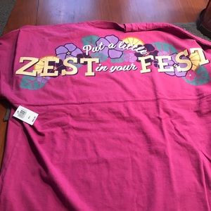 Disney Spirit Jersey